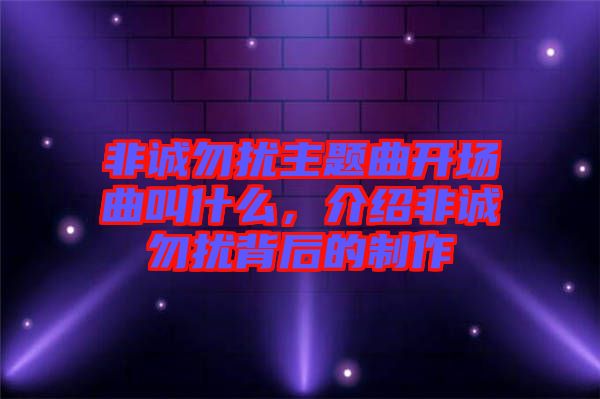 非誠勿擾主題曲開場曲叫什么，介紹非誠勿擾背后的制作