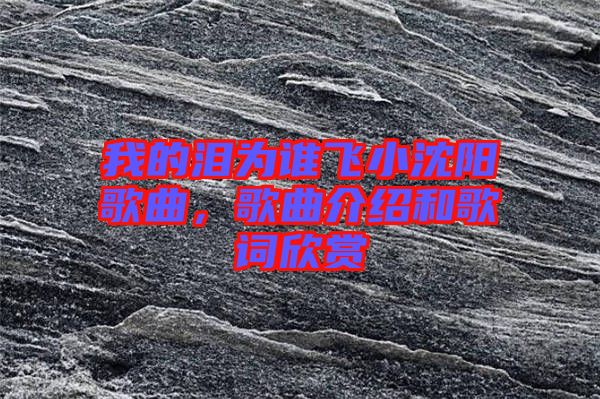 我的淚為誰飛小沈陽歌曲，歌曲介紹和歌詞欣賞