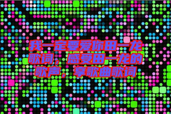 我一定要愛你田一龍歌詞，感受田一龍的歌聲，享歌曲歌詞