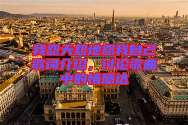 我怨天怨地怨我自己歌詞介紹，討論歌曲中的情感達(dá)