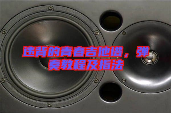 違背的青春吉他譜，彈奏教程及指法