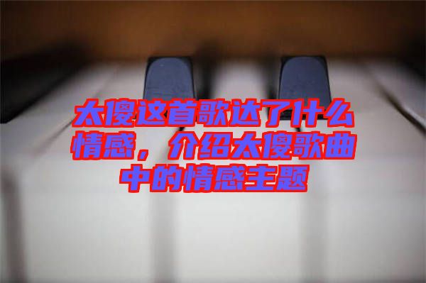 太傻這首歌達(dá)了什么情感，介紹太傻歌曲中的情感主題