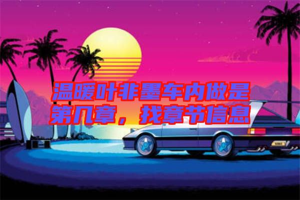 溫暖葉非墨車(chē)內(nèi)做是第幾章，找章節(jié)信息