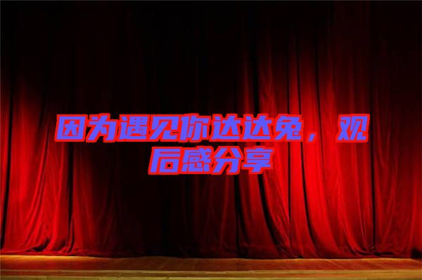 因為遇見你達(dá)達(dá)兔，觀后感分享