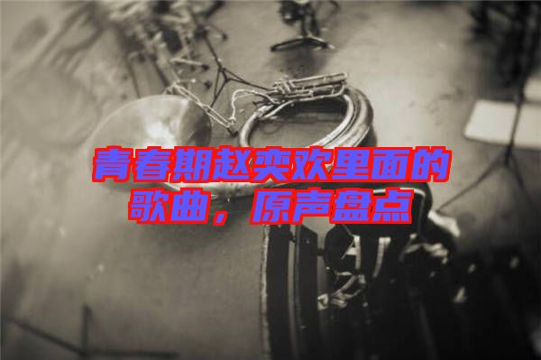 青春期趙奕歡里面的歌曲，原聲盤點