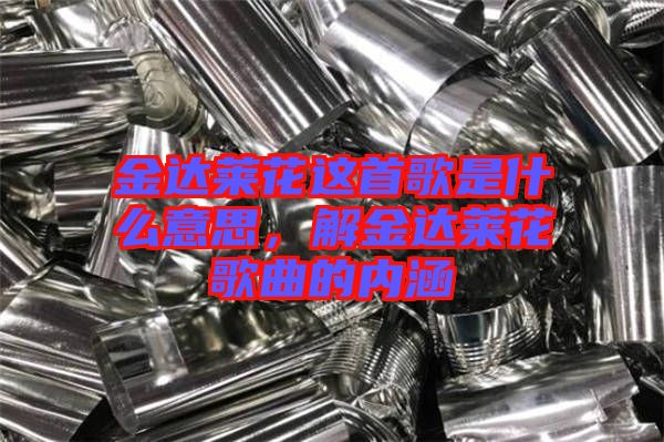金達(dá)萊花這首歌是什么意思，解金達(dá)萊花歌曲的內(nèi)涵