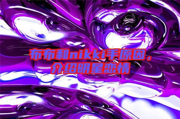 布布和nikki手原因，介紹明星戀情