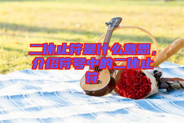 二休止符是什么意思，介紹符號中的二休止符