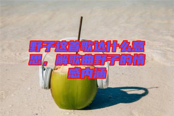 野子這首歌達什么意思，解歌曲野子的情感內(nèi)涵