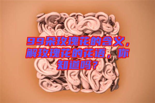 99朵玫瑰花的含義，解玫瑰花的花語，你知道嗎？