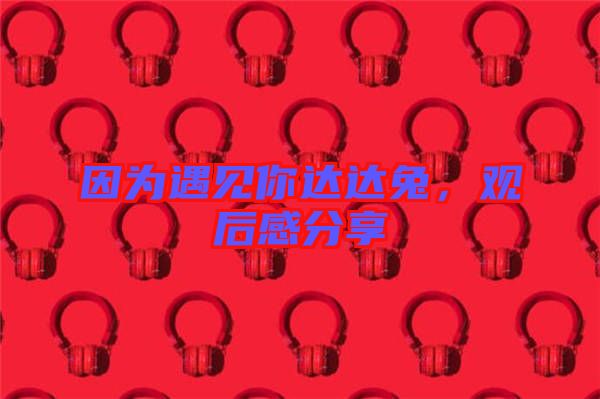 因?yàn)橛鲆娔氵_(dá)達(dá)兔，觀后感分享