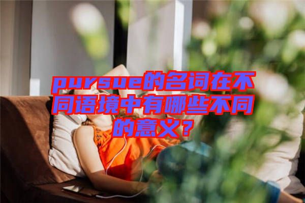pursue的名詞在不同語(yǔ)境中有哪些不同的意義？