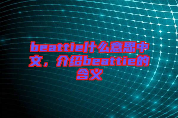 beattie什么意思中文，介紹beattie的含義