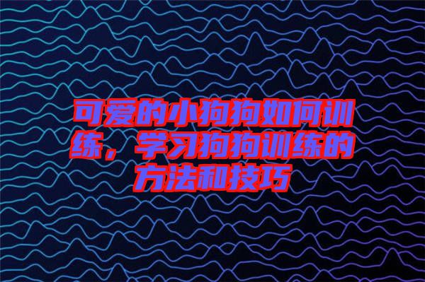可愛的小狗狗如何訓練，學習狗狗訓練的方法和技巧