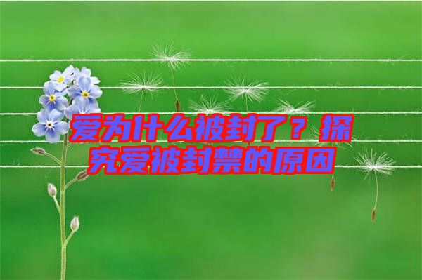愛為什么被封了？探究愛被封禁的原因