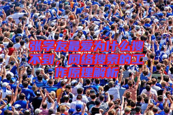 張學(xué)友最愛為什么搜不到，網(wǎng)絡(luò)搜索的工作原理解析