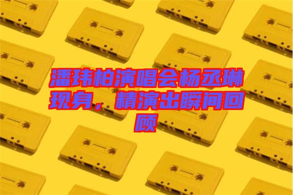 潘瑋柏演唱會楊丞琳現(xiàn)身，精演出瞬間回顧