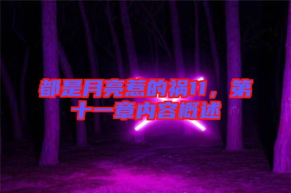 都是月亮惹的禍11，第十一章內(nèi)容概述