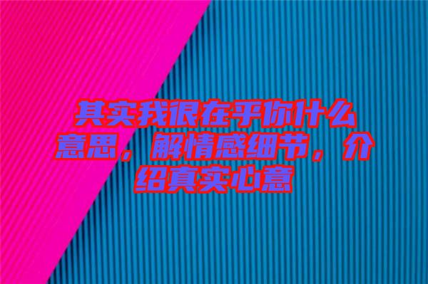 其實(shí)我很在乎你什么意思，解情感細(xì)節(jié)，介紹真實(shí)心意