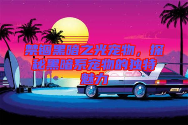 禁錮黑暗之光寵物，探秘黑暗系寵物的獨(dú)特魅力