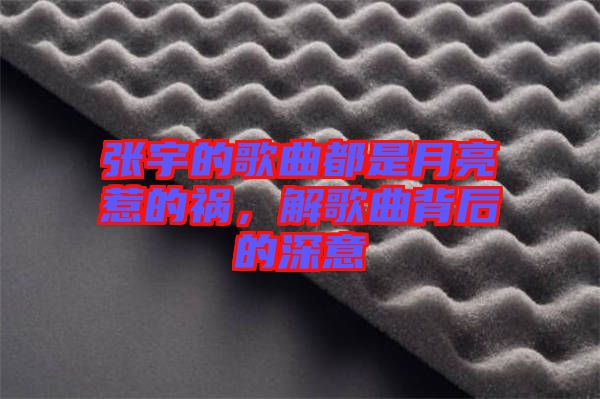 張宇的歌曲都是月亮惹的禍，解歌曲背后的深意