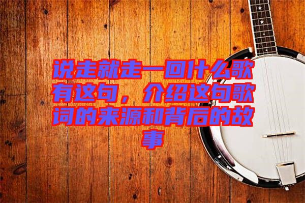 說走就走一回什么歌有這句，介紹這句歌詞的來源和背后的故事