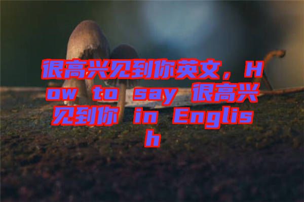 很高興見到你英文，How to say 很高興見到你 in English