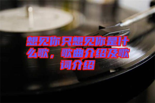 想見(jiàn)你只想見(jiàn)你是什么歌，歌曲介紹及歌詞介紹