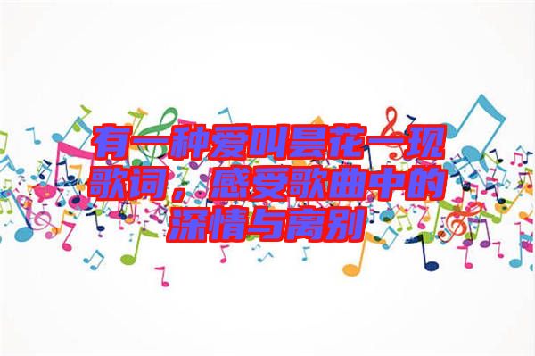 有一種愛(ài)叫曇花一現(xiàn)歌詞，感受歌曲中的深情與離別