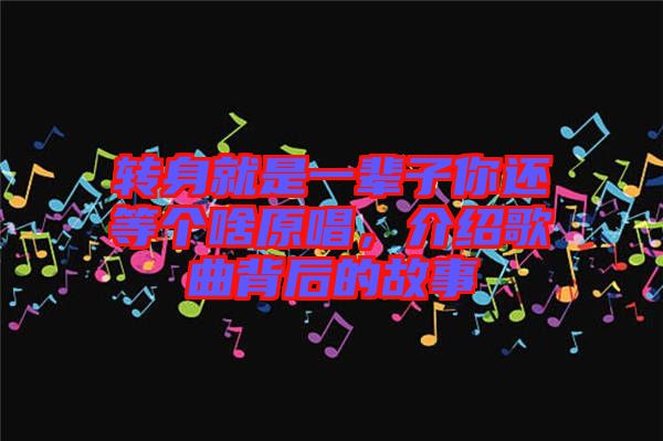 轉(zhuǎn)身就是一輩子你還等個(gè)啥原唱，介紹歌曲背后的故事