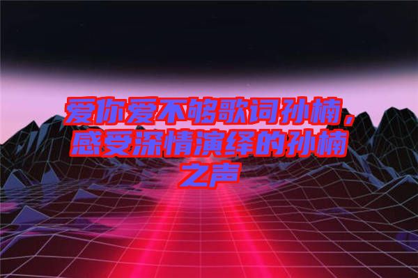愛你愛不夠歌詞孫楠，感受深情演繹的孫楠之聲