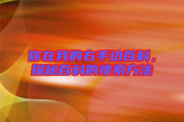 你在我的右手邊百科，探秘百科的搜索方法