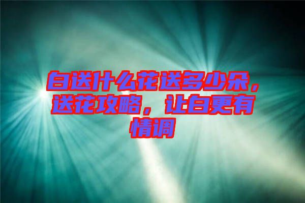 白送什么花送多少朵，送花攻略，讓白更有情調(diào)