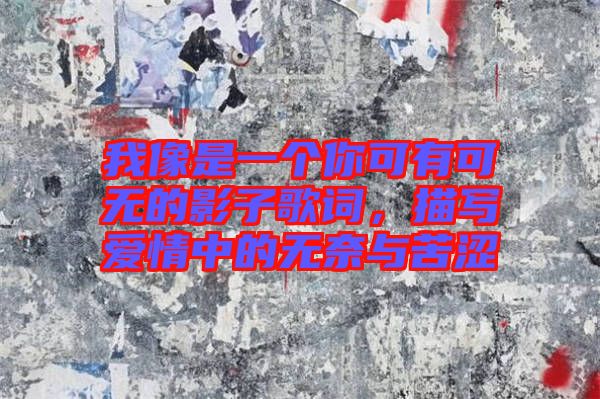 我像是一個你可有可無的影子歌詞，描寫愛情中的無奈與苦澀