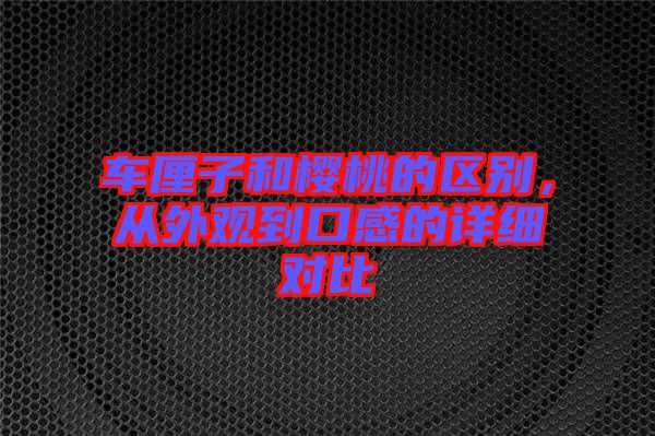 車(chē)?yán)遄雍蜋烟业膮^(qū)別，從外觀到口感的詳細(xì)對(duì)比