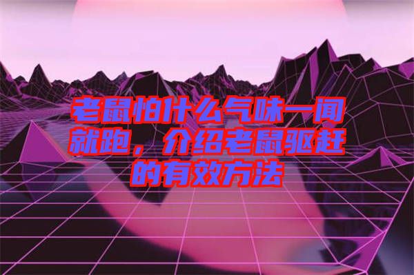 老鼠怕什么氣味一聞就跑，介紹老鼠驅(qū)趕的有效方法