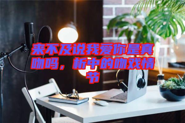 來不及說我愛你是真吻嗎，析中的吻戲情節(jié)