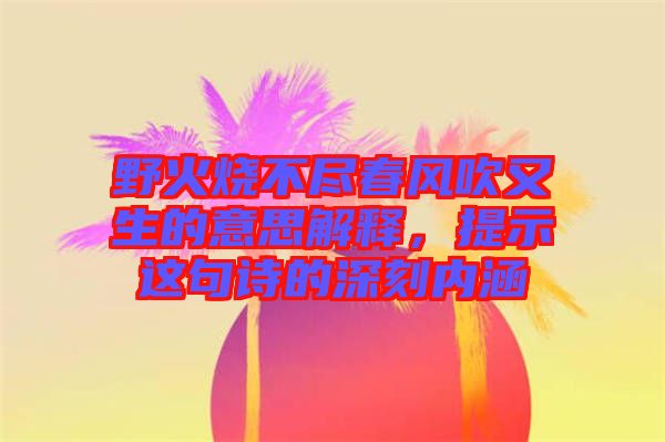 野火燒不盡春風(fēng)吹又生的意思解釋，提示這句詩的深刻內(nèi)涵