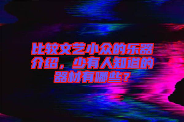 比較文藝小眾的樂器介紹，少有人知道的器材有哪些？