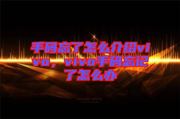 手碼忘了怎么介紹vivo，vivo手碼忘記了怎么辦