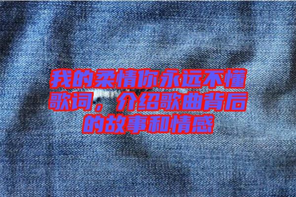 我的柔情你永遠不懂歌詞，介紹歌曲背后的故事和情感