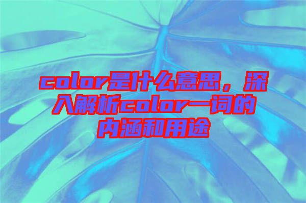 color是什么意思，深入解析color一詞的內(nèi)涵和用途