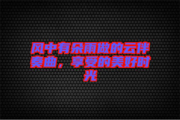 風(fēng)中有朵雨做的云伴奏曲，享受的美好時(shí)光