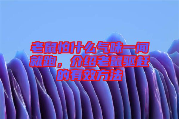 老鼠怕什么氣味一聞就跑，介紹老鼠驅(qū)趕的有效方法