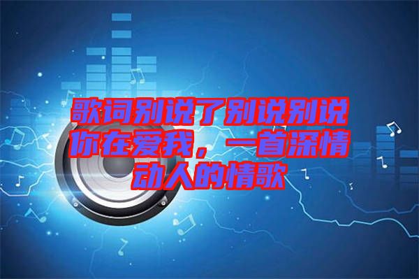歌詞別說了別說別說你在愛我，一首深情動人的情歌
