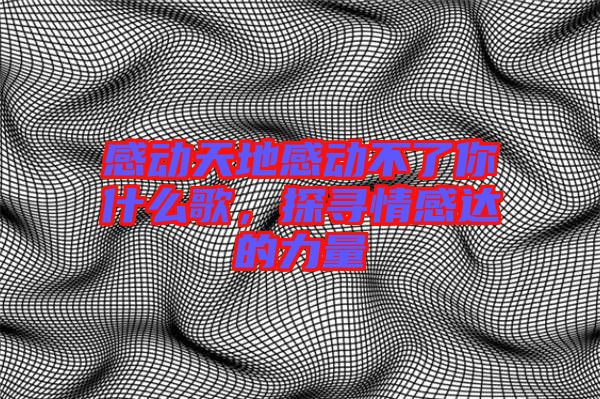 感動(dòng)天地感動(dòng)不了你什么歌，探尋情感達(dá)的力量