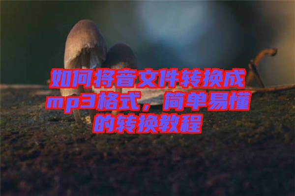 如何將音文件轉(zhuǎn)換成mp3格式，簡(jiǎn)單易懂的轉(zhuǎn)換教程