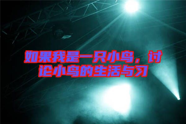 如果我是一只小鳥，討論小鳥的生活與習(xí)