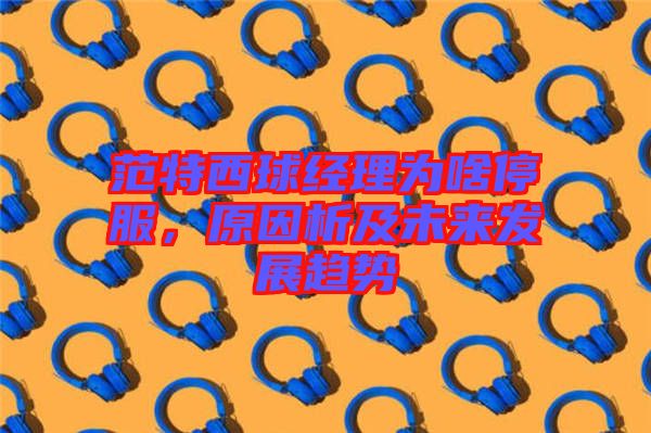 范特西球經(jīng)理為啥停服，原因析及未來發(fā)展趨勢(shì)