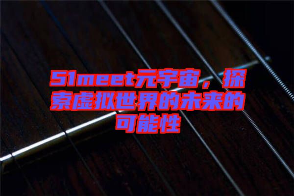51meet元宇宙，探索虛擬世界的未來(lái)的可能性